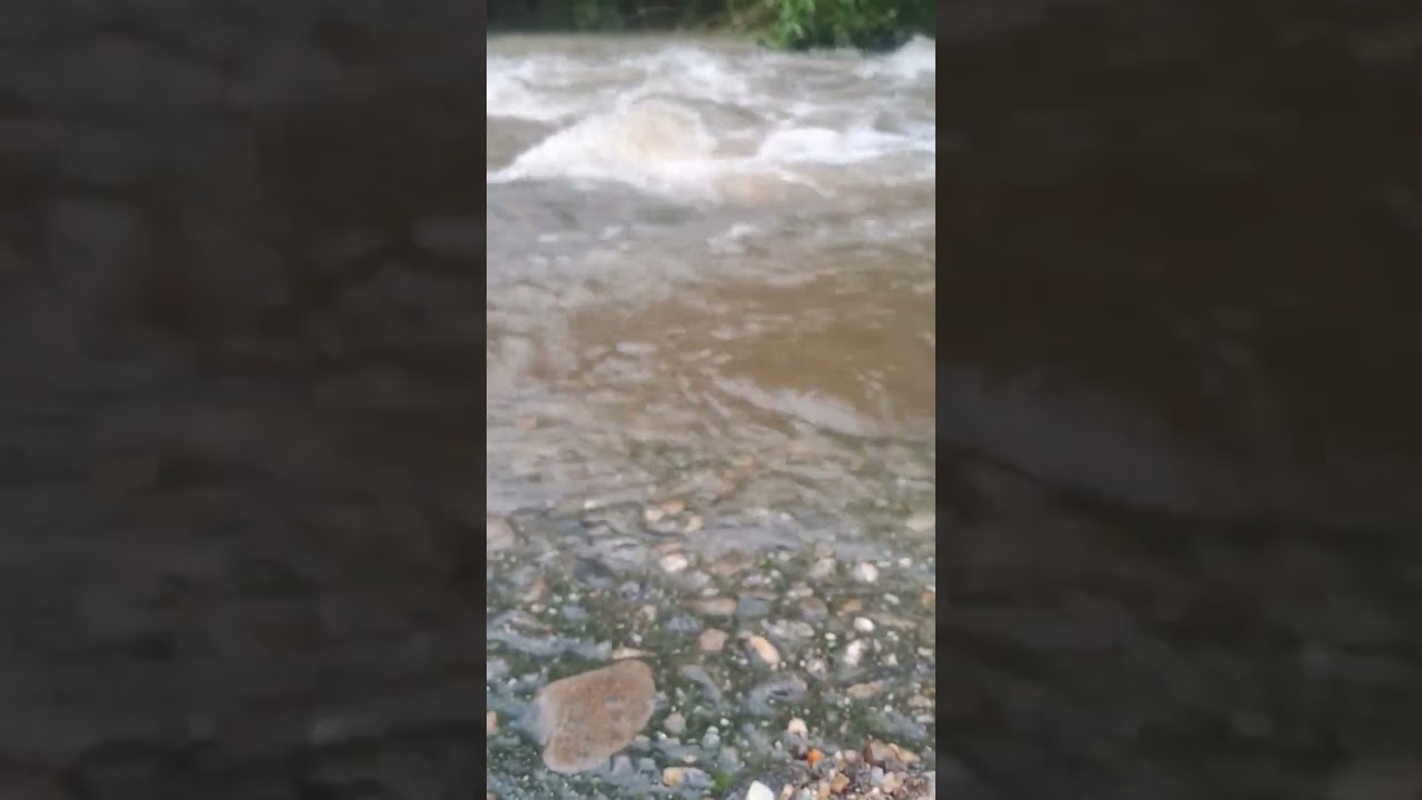 নদী নদী নদী River machlimandi