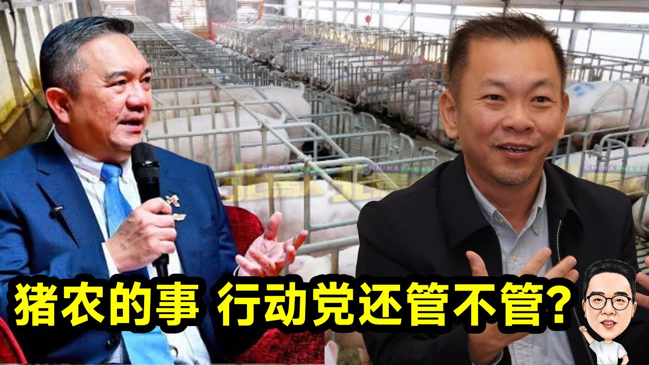 猪农的事 行动党还管不管？ @etchannel622  31.01.2026 