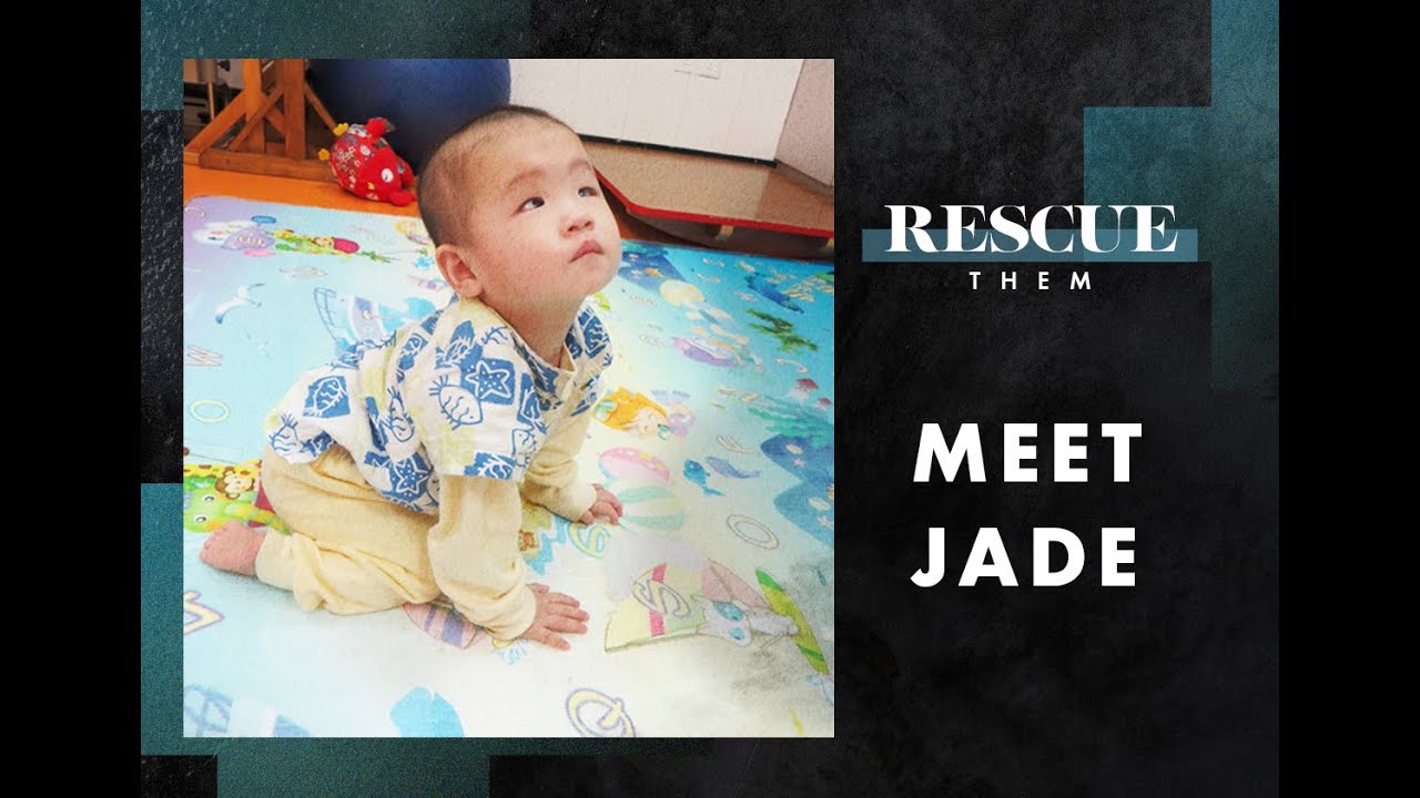 Jade Story - Adoption Aid