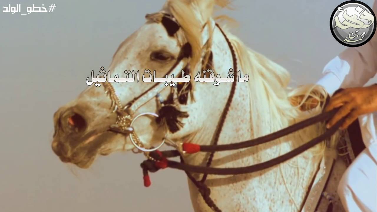 شيلة خطو الولد ||كلمات:بندر بن سرور (رحمه الله) ||أداء:سلطان فارس
