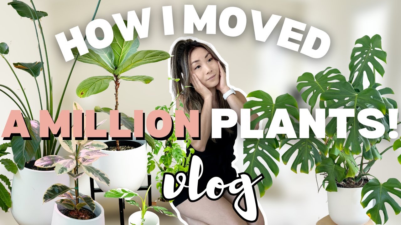 How I Moved a MILLION Plants | Houseplant Care Routine & Tips | Plant Chores | Plant Home Tour