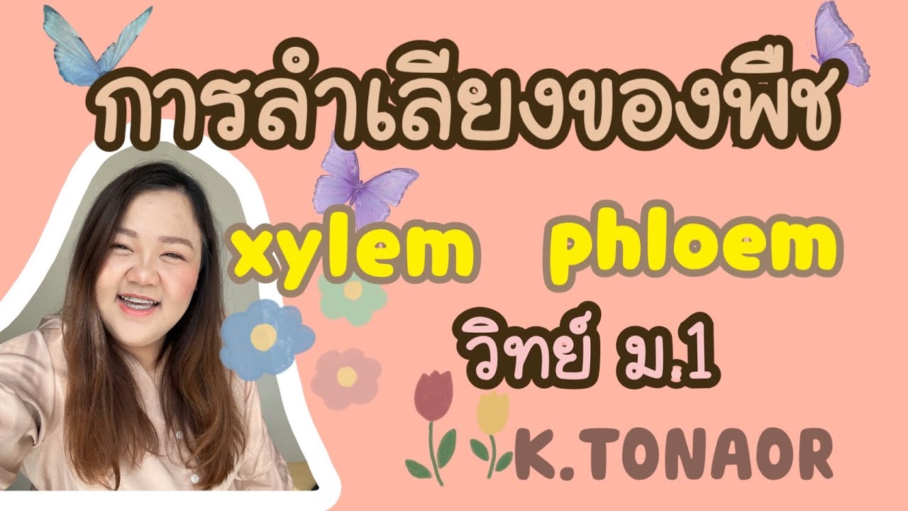 การลำเลียงน้ำและอาหารของพืช ม.1 #วิทยาศาสตร์