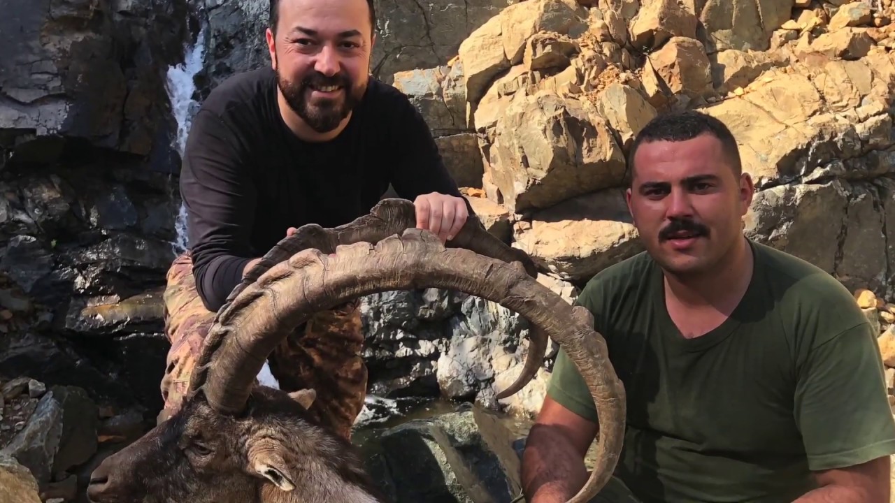 Ümit ERDOĞAN Teke Avı ( KÖYCEĞİZ )  Bezoar ibex Hunting