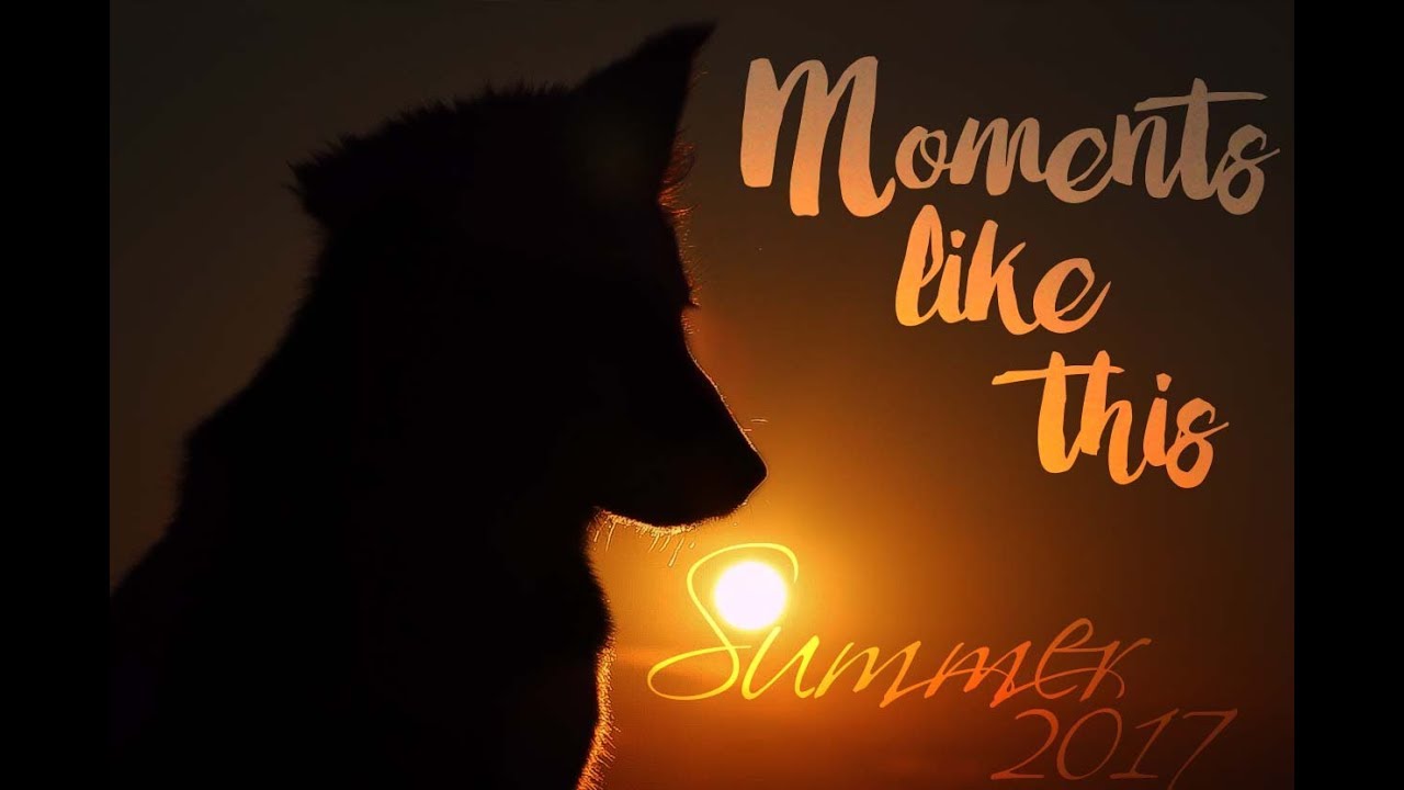 Moments like this- Summer 2017.