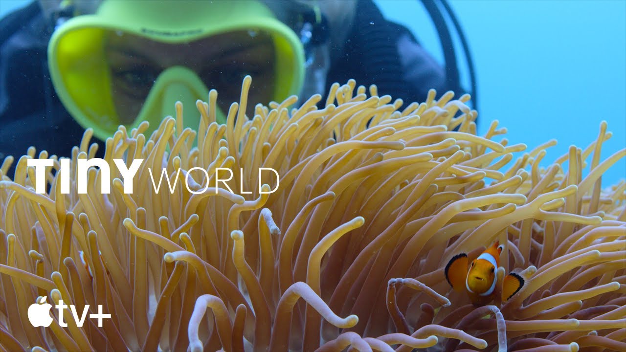 Tiny World — Filming Inside the Reef | Apple TV