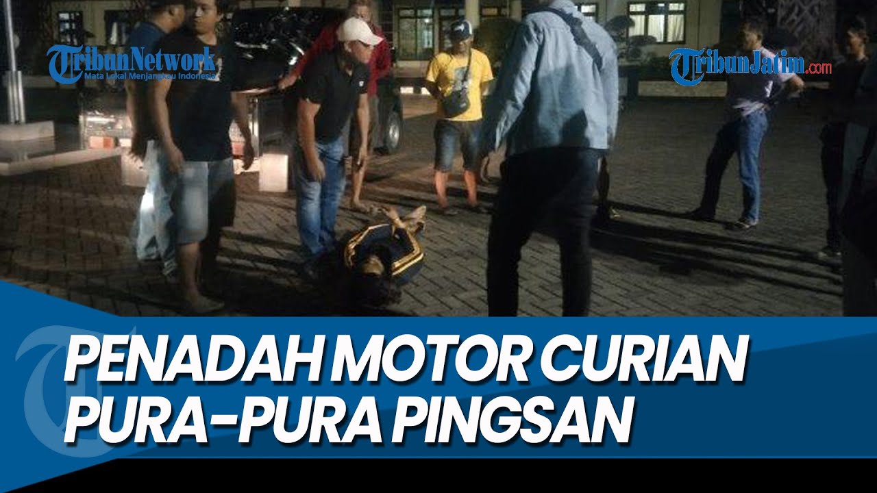 PURA-PURA PINGSAN SAAT DITANGKAP POLISI, Penadah Motor Curian di Situbondo Syok Aksinya Terbongkar