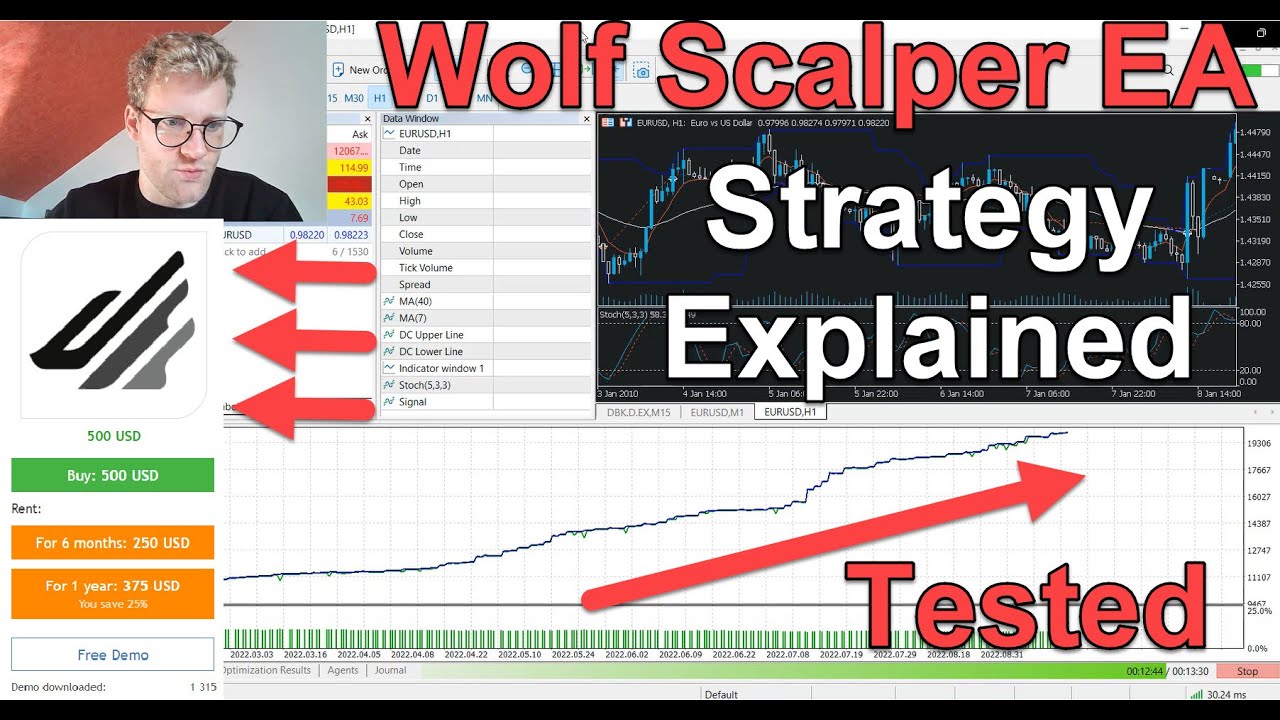 Testing The Wolf Scalper EA! Is It Really This Good And How Does It Work? MT5 Expert Advisor Review