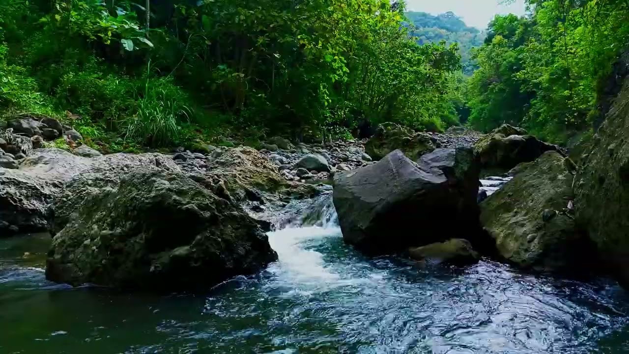 Green Forest River Tranquil - Nature River Soundscape for Sleep and Lucid Dream | River ASMR