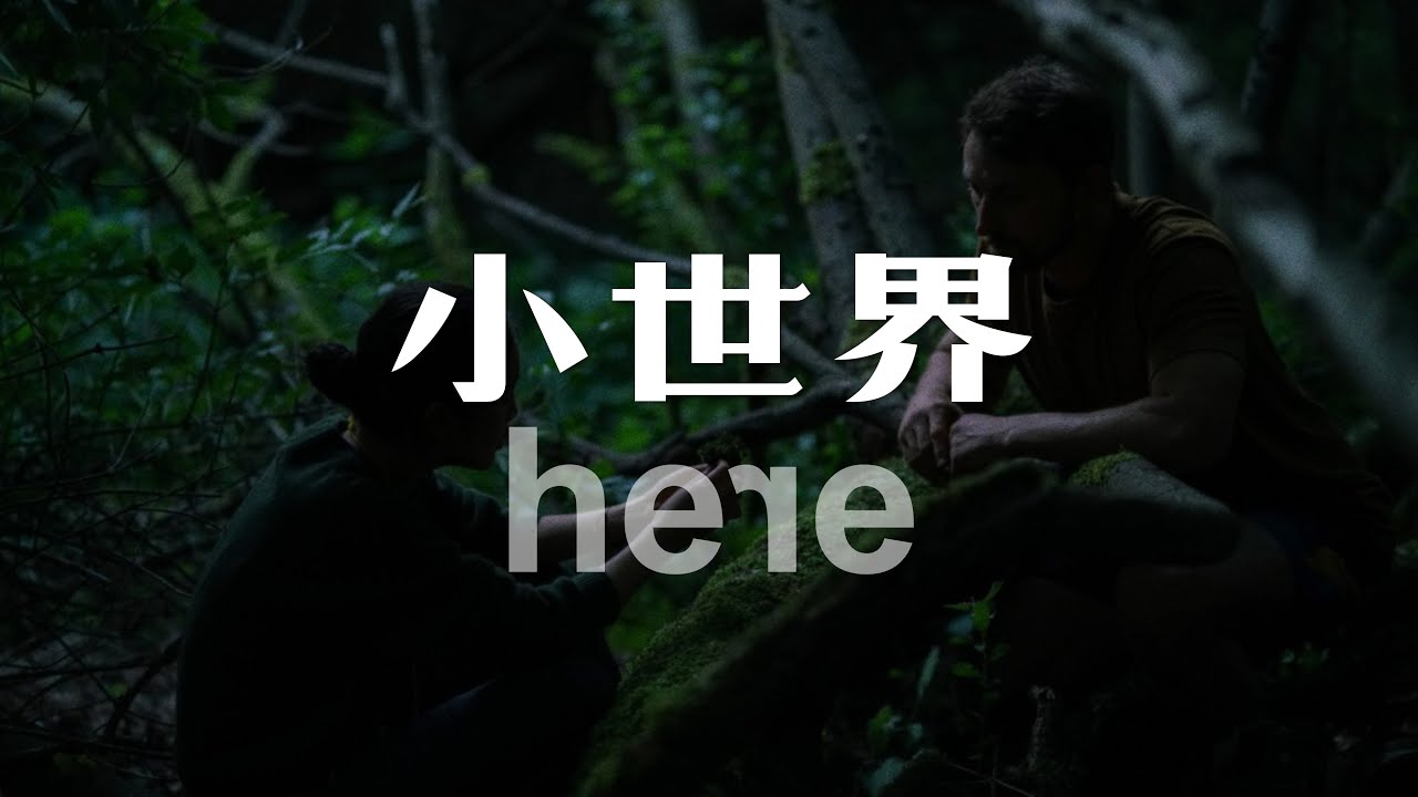 电影《小世界》| 时间与空间的诗意交融  | Here | Bas Devos | Brecht Ameel | My Color is Green | Belgian film