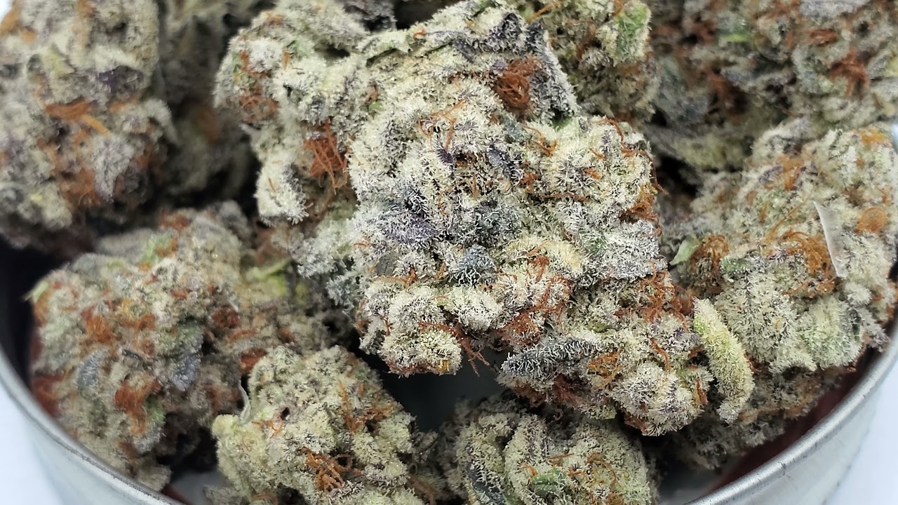 Garlic Nut Butter Breath- The Harmony Collective.
