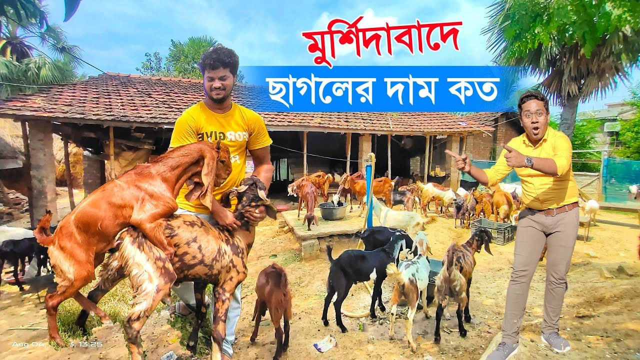 মুর্শিদাবাদে ছাগলের দাম কত | JSK Goat Farm | Goat Farming in India | Goat Price in West Bengal
