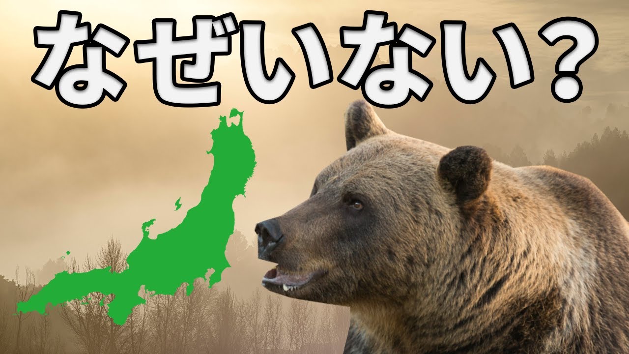 本州にヒグマがいない理由がこちら【解説】