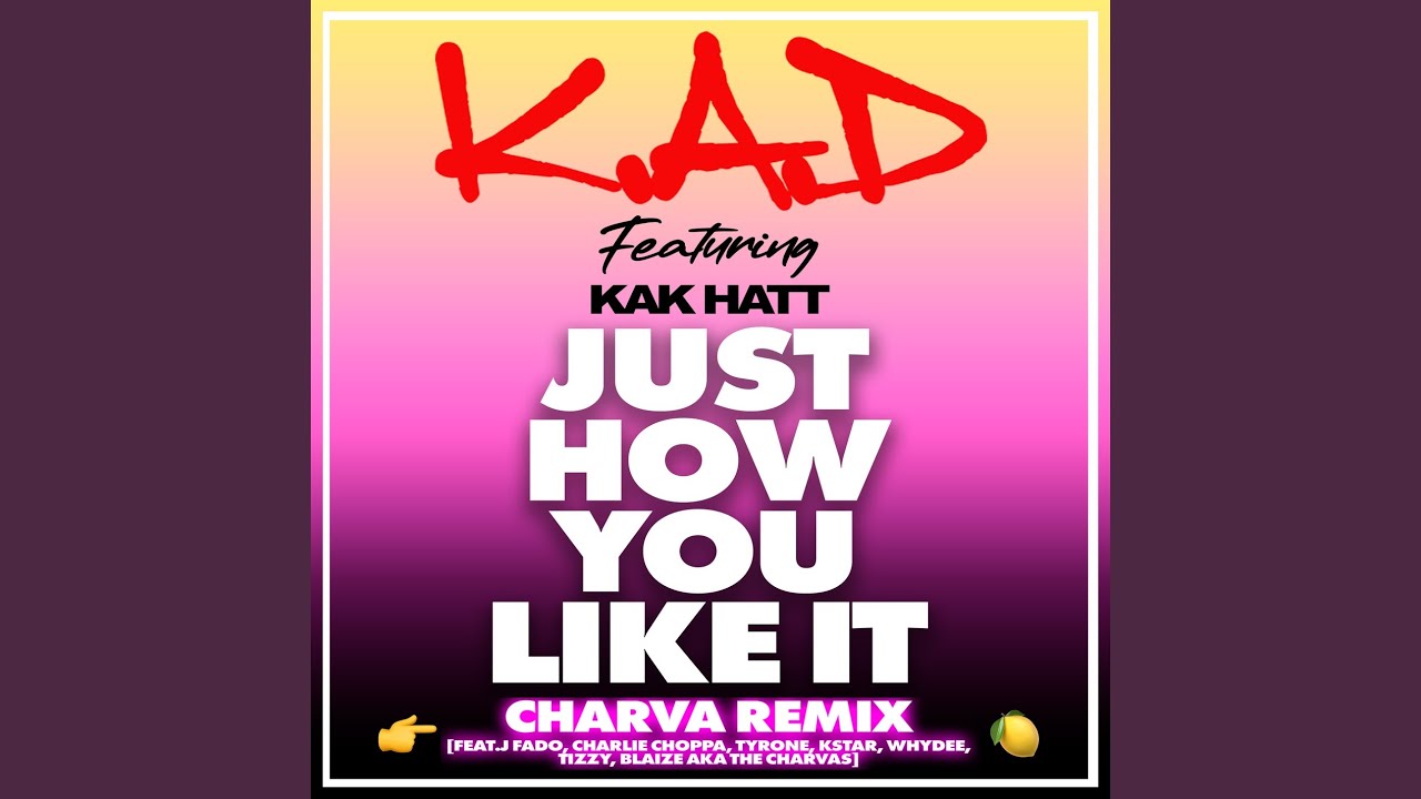 Just How You Like It (Charva Remix)