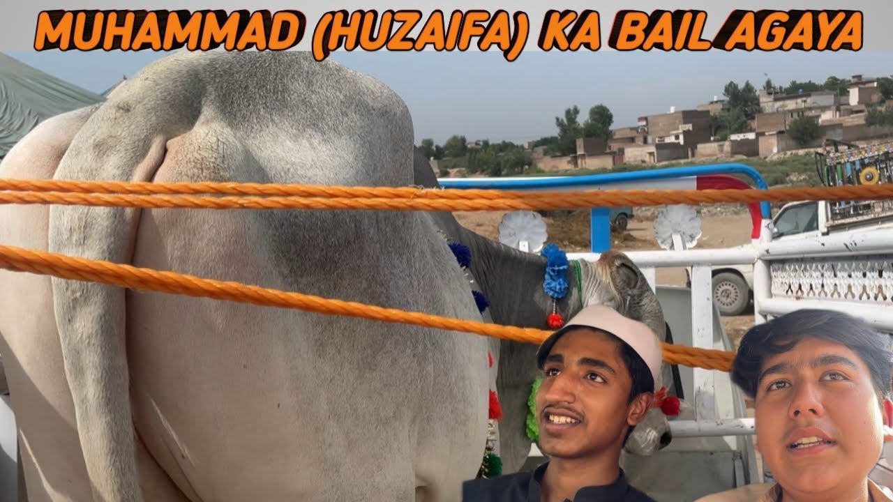 DOST KA BAIL LAE AY II ALHAMDULLILAH II SHAH FAHAD SYED II ENJOY IT MERI JAAN