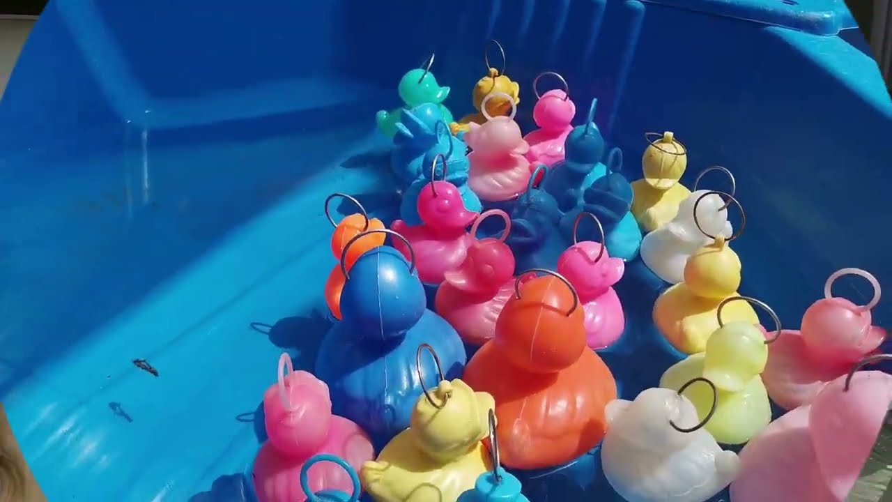 Tien om te zien in De Bloesem - Schoolfeest kleuters 22 mei 2022