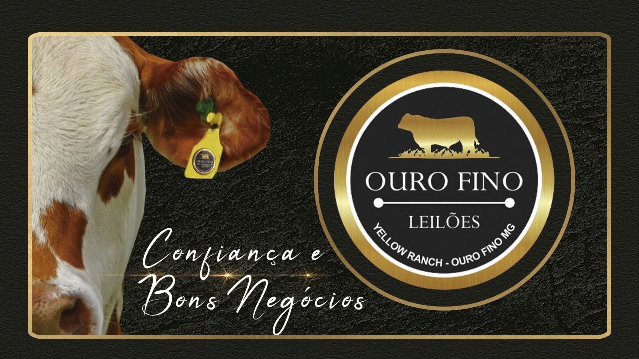 Ouro Fino Leil&otilde;es