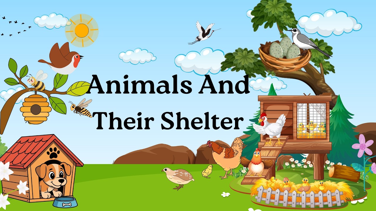 Animals and their Shelter for kids | Animals home | Home of animals | Animal homes
