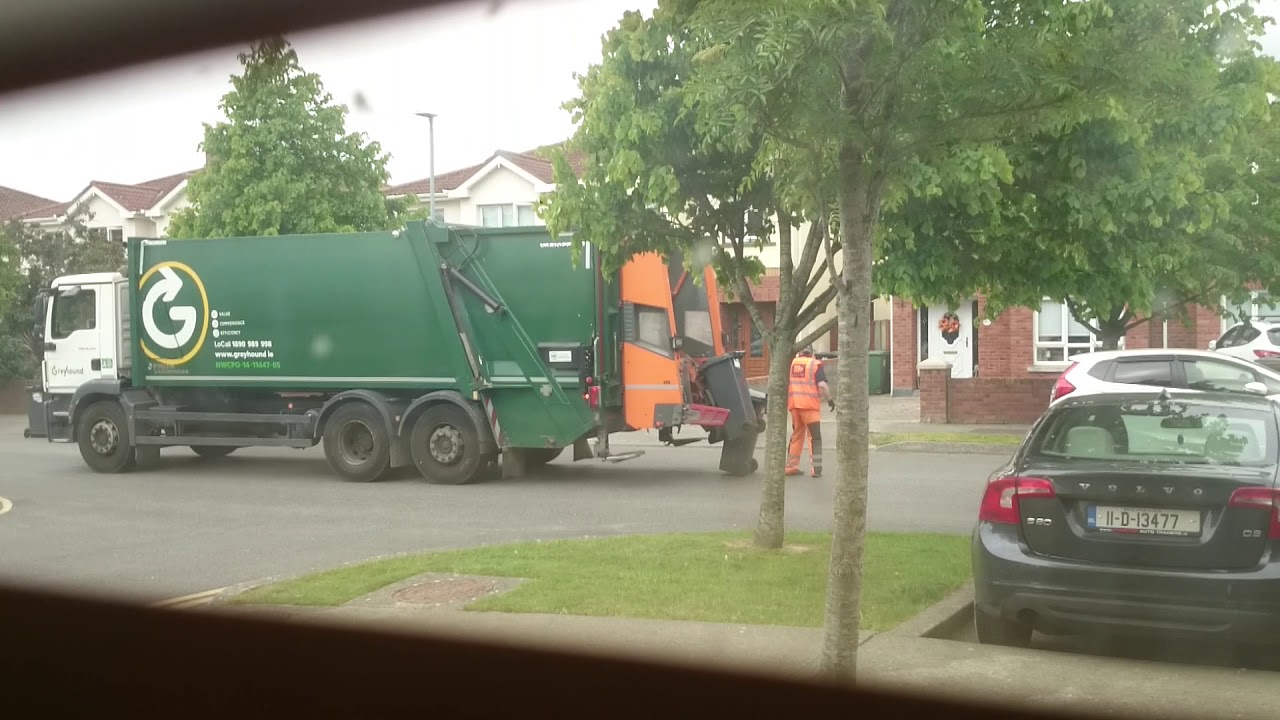 Greyhound collecting black bins