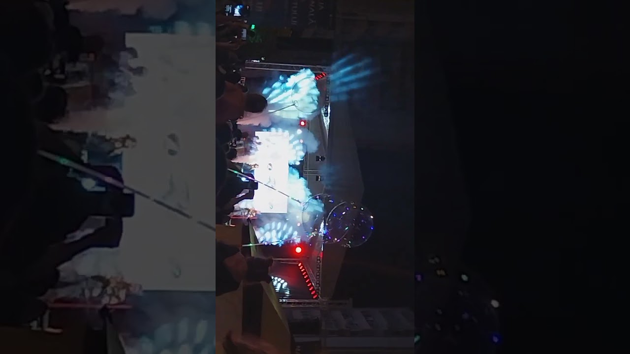 Concert theo rose Vaslui ziua tineretului 2025 'Centru Vaslui