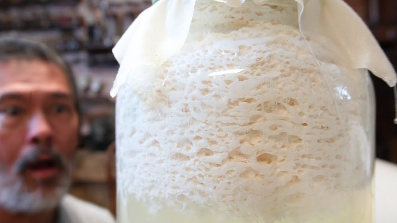 Quest for Homemade Organic Hydroponic Fertilizer