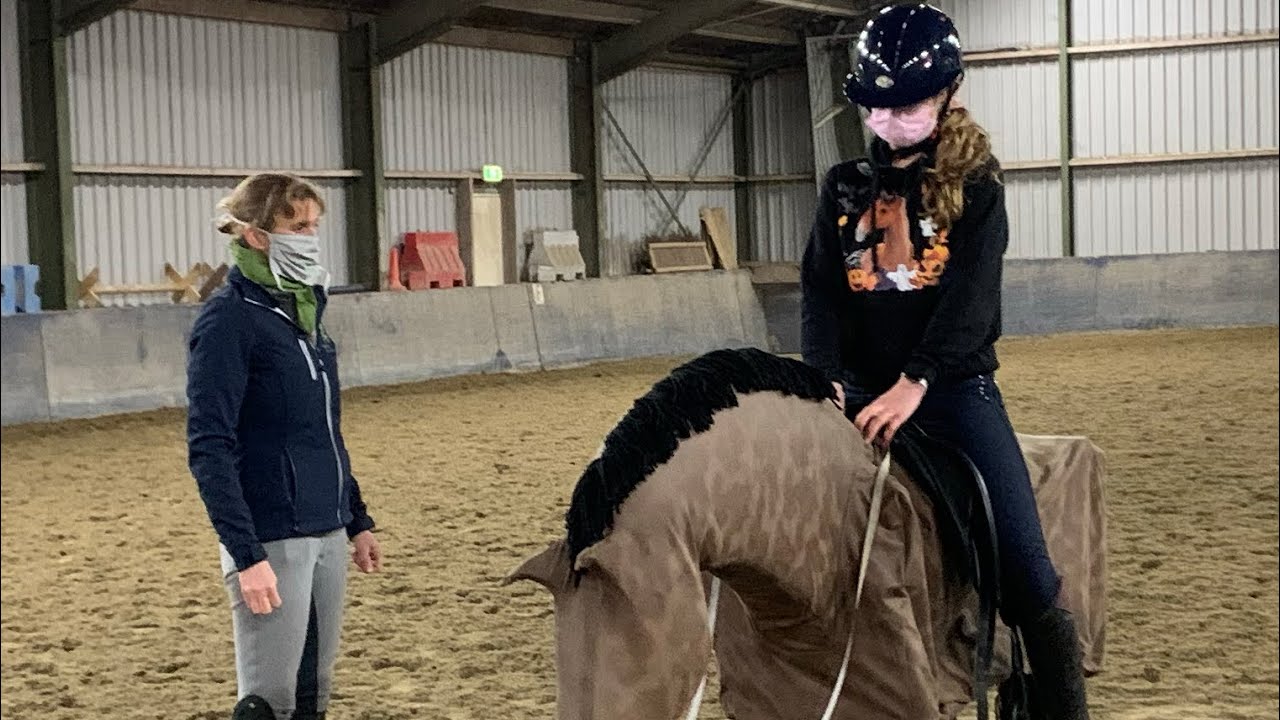 Probleem Oplossen Houding & Zit met Joker l Houding & Zit met Roos Dyson  * Hart voor Paarden *