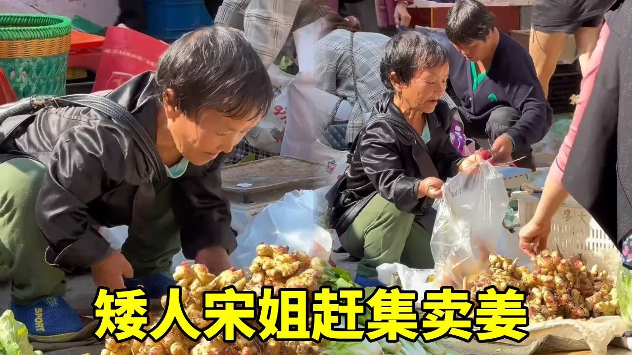 矮人宋姐赶集卖姜，没想到姜这么好卖，明年多种点！#袖珍人 #关爱老人 #农村生活
