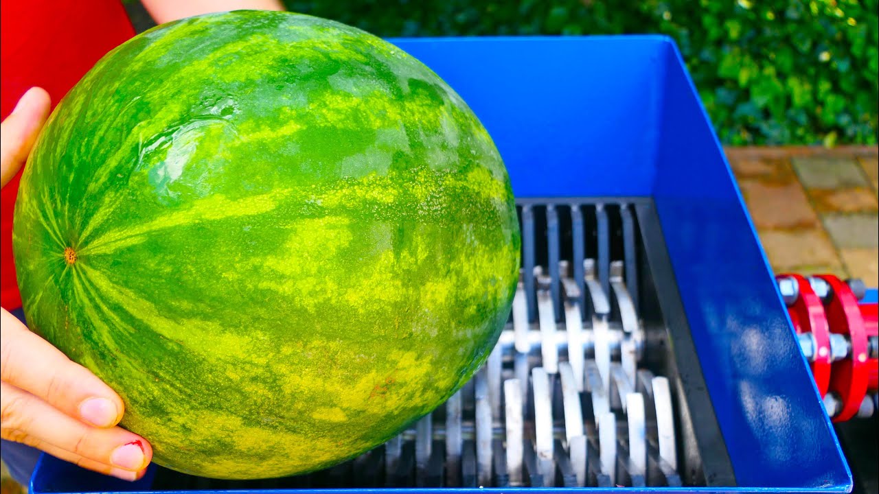 Ice Watermelon VS Fast Shredder!