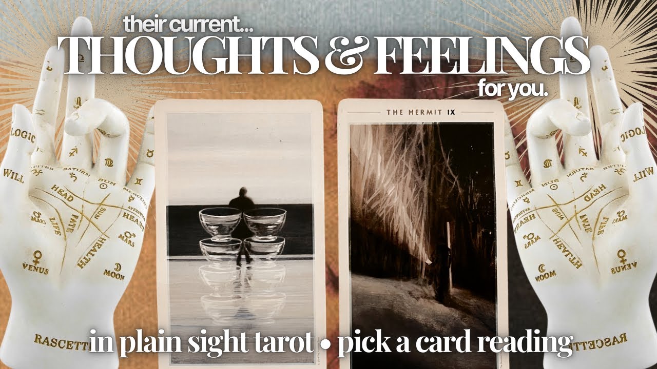 PICK A CARD: 🍯THEIR CURRENT THOUGHTS & FEELINGS FOR YOU🧋