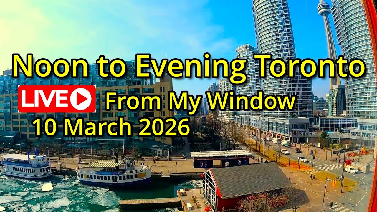 🔴Toronto Window Cam LIVE HD | MaoChow Adventure 10th March 2026 Noon to Evening vibes