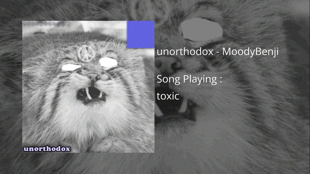 unorthodox - MoodyBenji