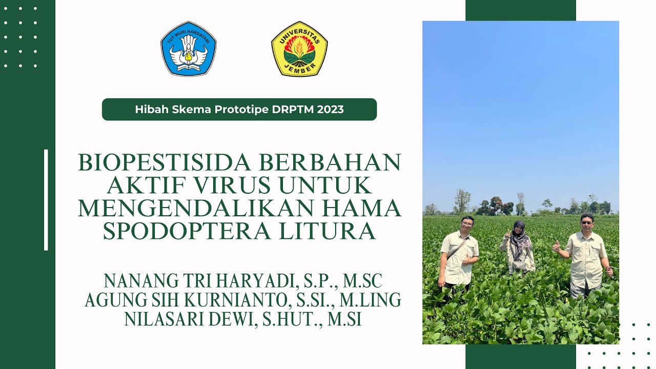 Hibah Skema Prototipe DRPTM : Biopestisida Berbahan Aktif Virus Mengendalikan Hama Spodoptera litura