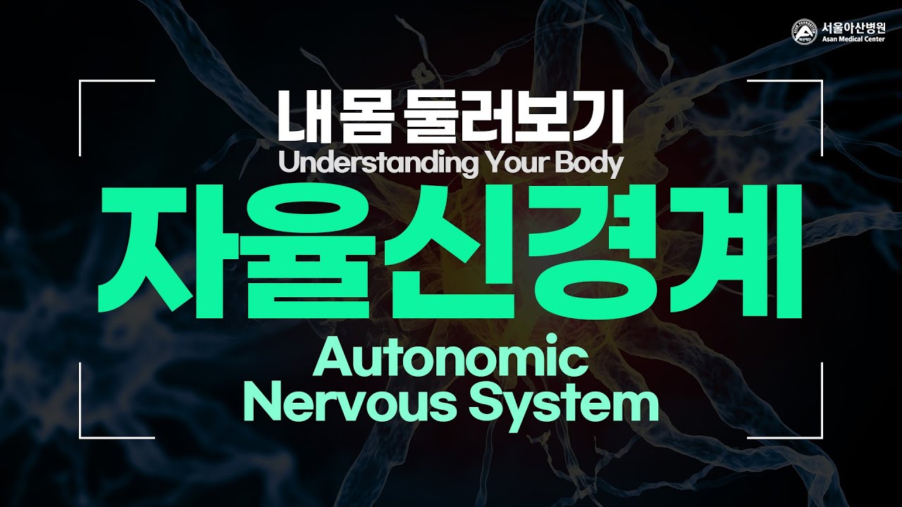 자율신경계 [내 몸 둘러보기]