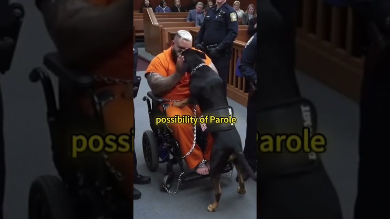 Courtroom Shook: The Truth Revealed!Shocking Twist in New Case! ⚖️🔥