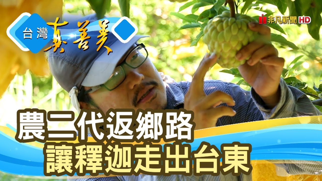 走出台東的“友善釋迦”【台灣真善美】2019.08.25