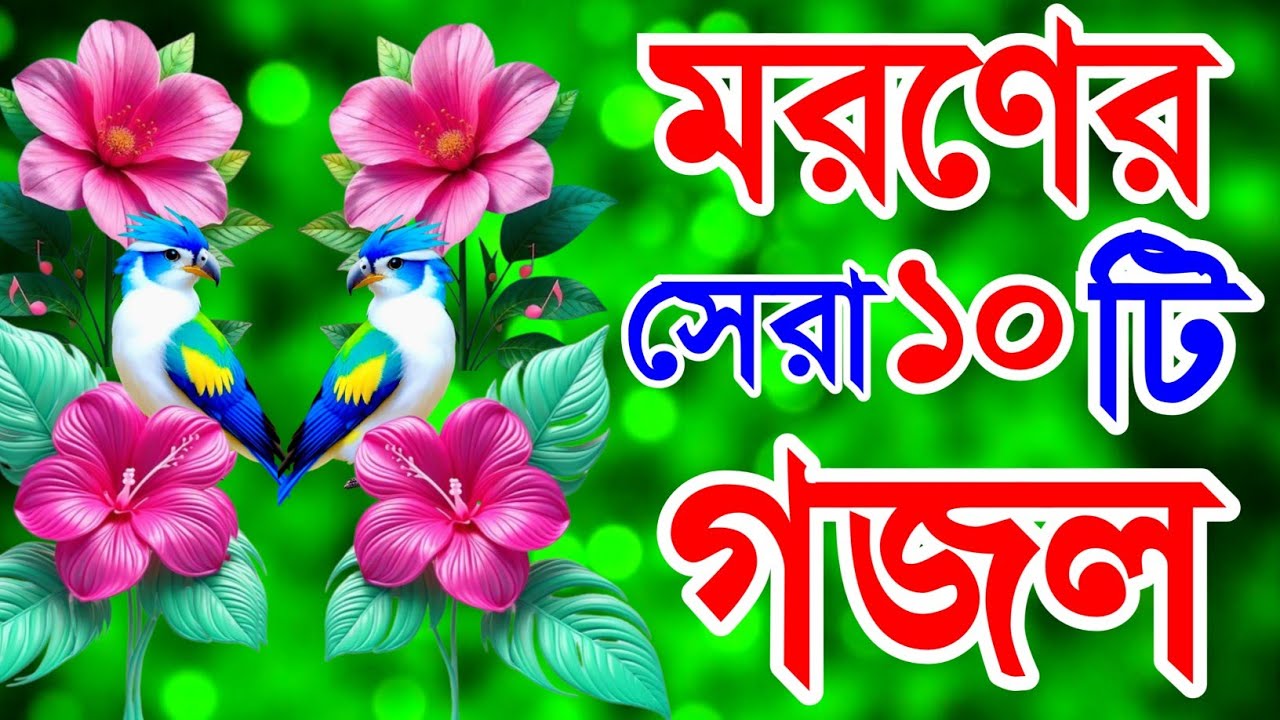 খুবই দুঃখের কলিজা চিড়া সেরা ১০টি গজল। সকলের পছন্দের সেরা গজল। New Islamic Gojol 2026