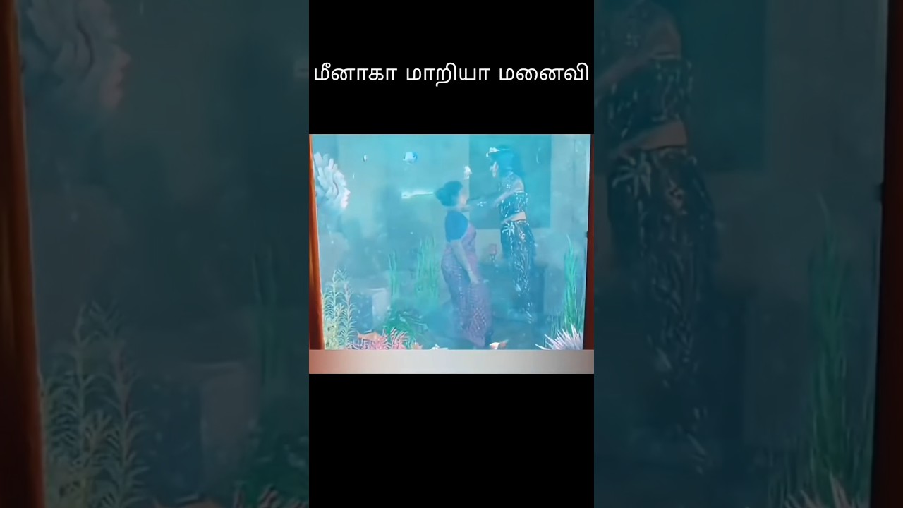 மீனாக மாறிய மனைவி