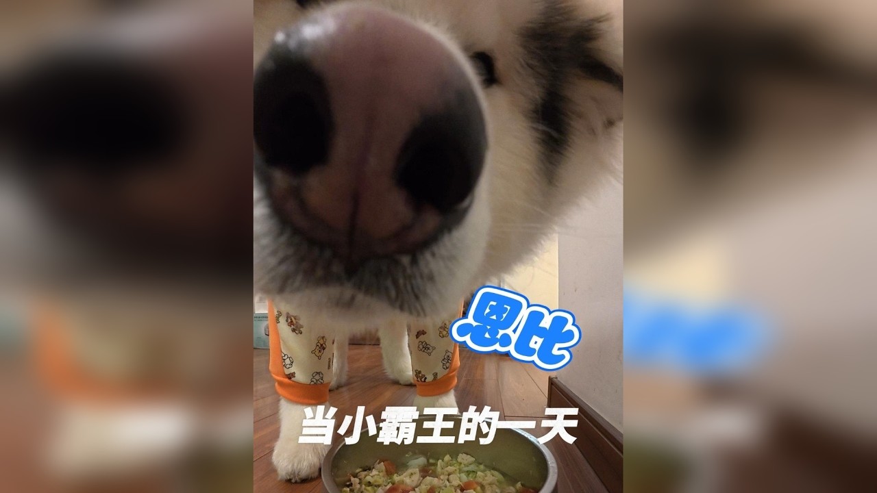 小霸王恩比