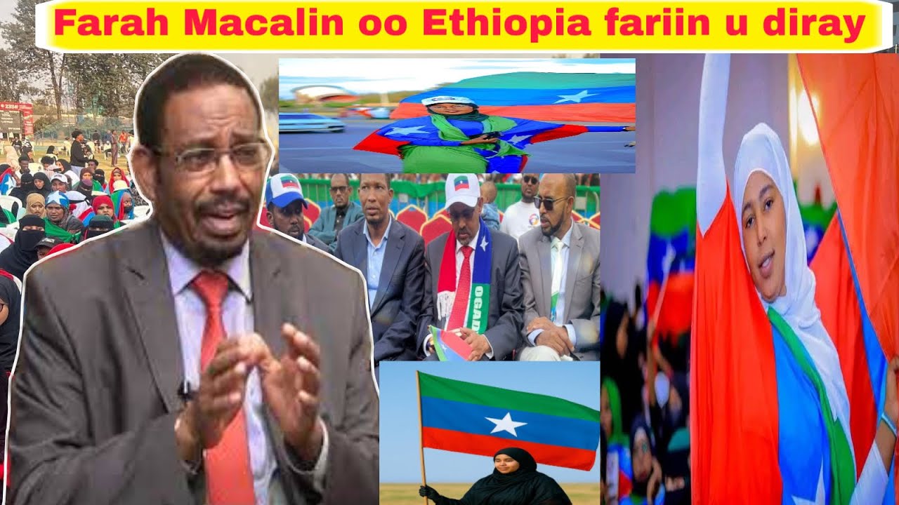 #DEGDEG: Farah Macalin oo ONLF talo dhaxal gal ah siiyay Xafladii  Sanad Guurada 41aad ee ONLF..