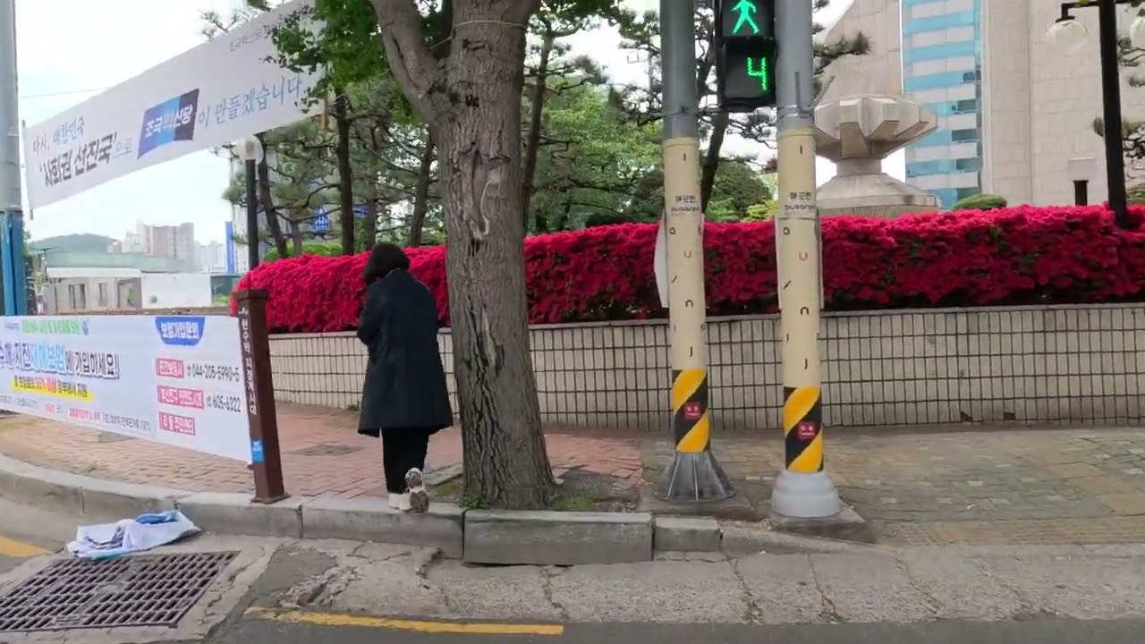 Busan City (FIRST WALK) - Busan, South Korea - Walking Tour HD