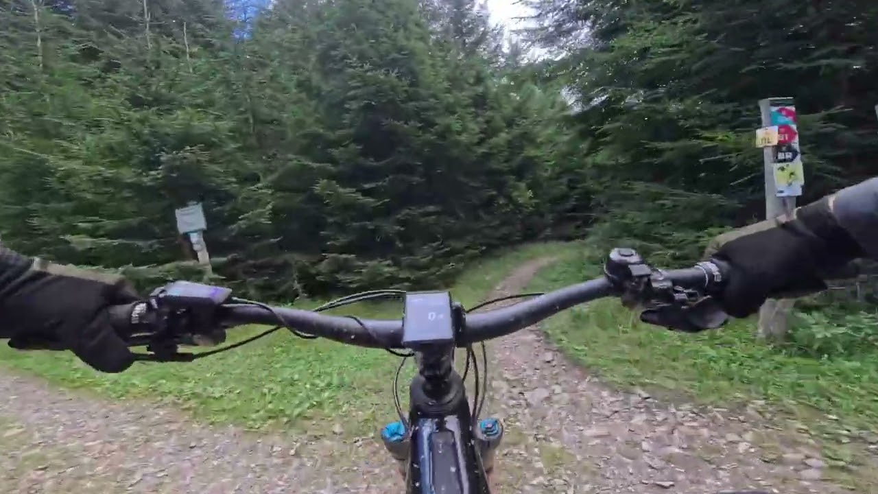 TR Summit Trail