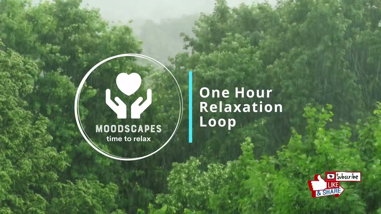 MOODSCAPES: 1 hour of rainfall and music in the forest - for stress relief, relaxation, insomnia