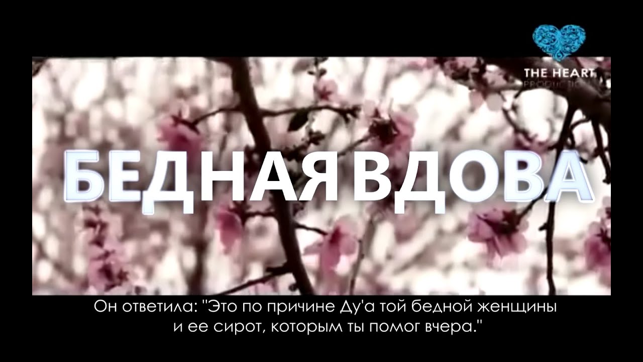 ᴴᴰ Шейх Джамиль Халим - Бедная вдова [СМОТРЕТЬ ВСЕМ!!!]