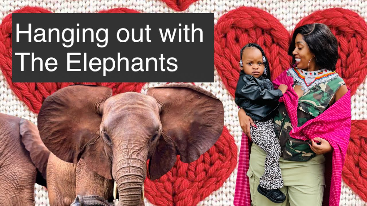Bonding with Elephants