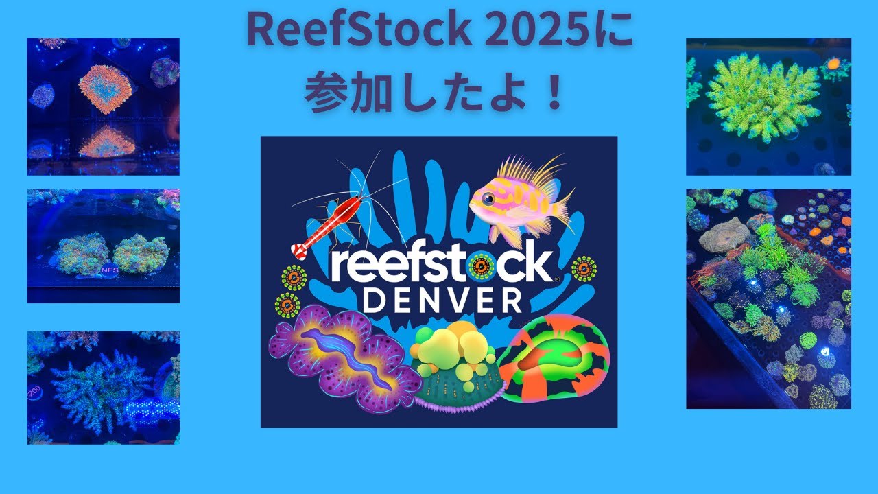 デンバーで開催されたReef Stock 2025アクアトレードショウに行ってきた！