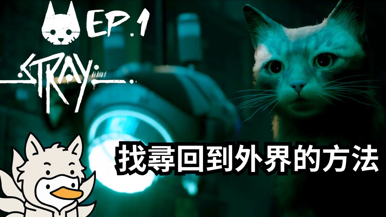《Stray 浪貓》之前國外很流行的遊戲！一隻貓在未來城市中找到回家的方法 【鴨旅葉行】