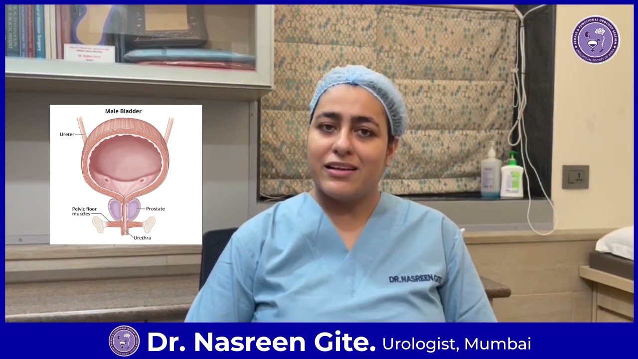 Stress Urinary Incontinence - Differences between male and female urinary anatomy
