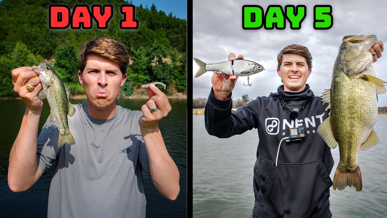I Fished A Swimbait For 5 Days!