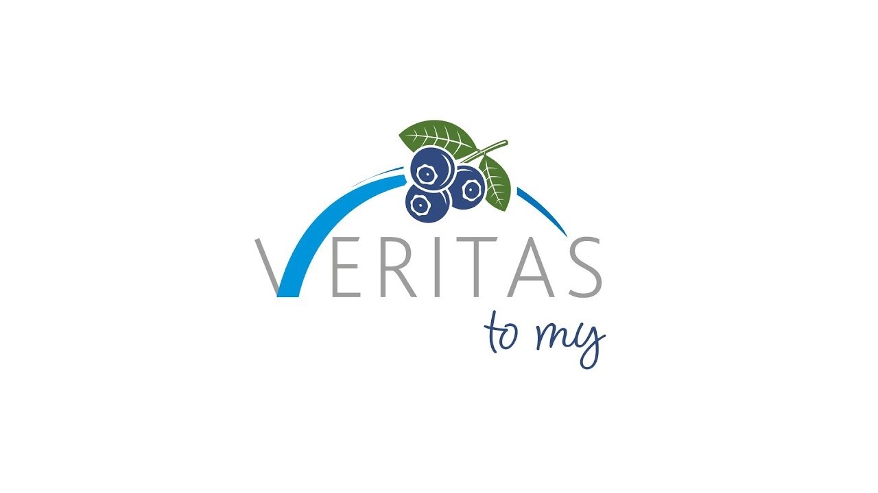 Podcast „Veritas To My” Odc. 14: Dział DISPO