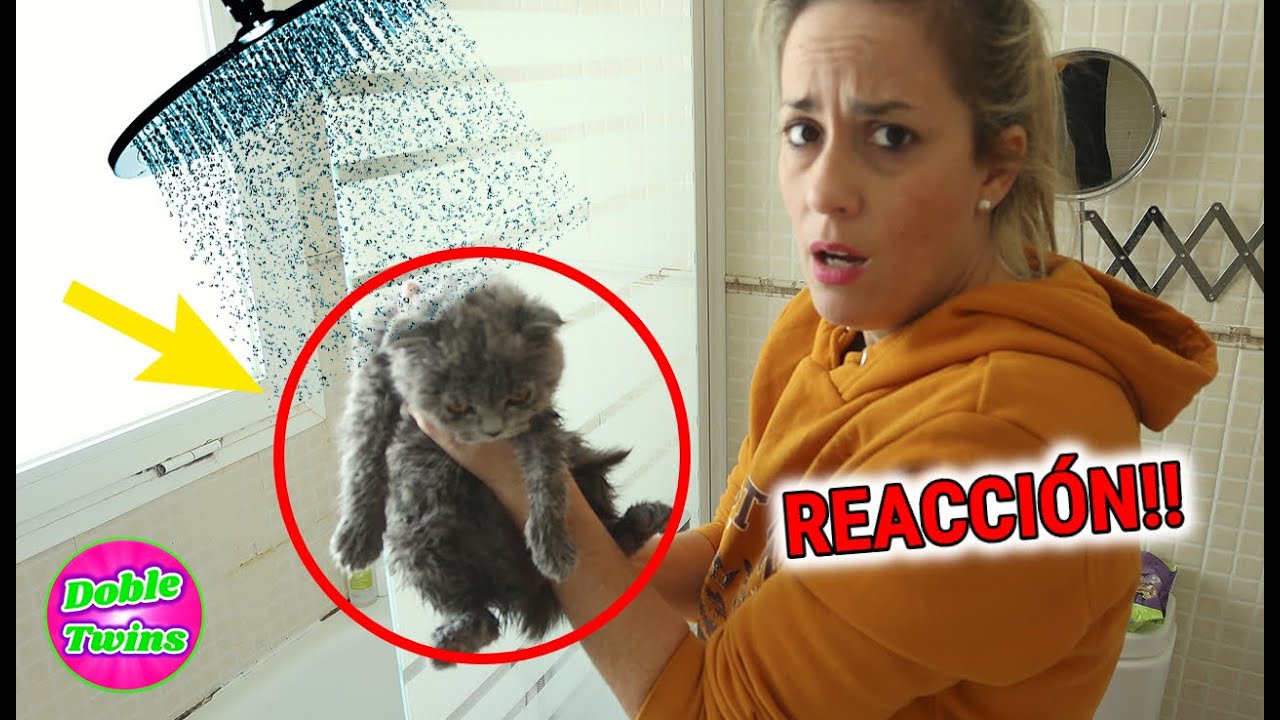 REACCIÓN DE MI MASCOTA AL AGUA POR PRIMERA VEZ! PASA MIEDO CASI SE AHOGA