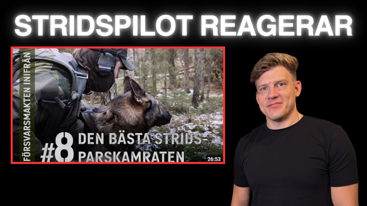Stridspilot Reagerar på Försvarsmakten Inifrån från F7!